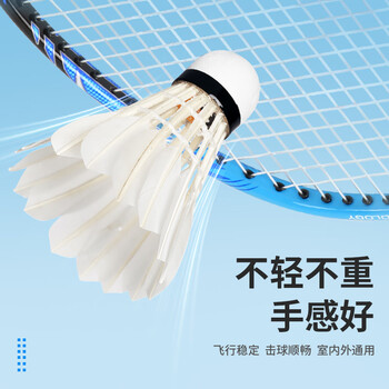 启傲(QIAO)鹅毛羽毛球训练级耐打鹅毛羽球AS15ew 12只装/筒 启傲(QIAO)鹅毛羽毛球训练级耐打鹅毛羽球AS15ew 12只装/筒