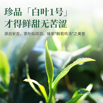 芳羽2026新茶预订安吉白茶核心原产地绿茶40克 茶叶 便携袋装春茶