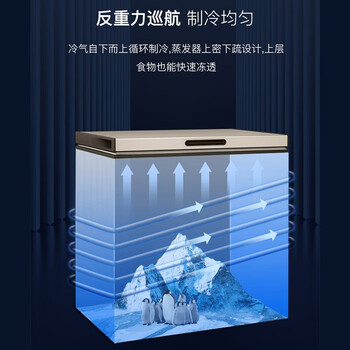 MELNG 美菱141升减霜家用单温冰柜冷藏冷冻转换小冷柜小冰箱一级节能省电顶开门BC/BD-141DT金色