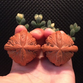 文玩四棱核桃品牌及商品- 京东