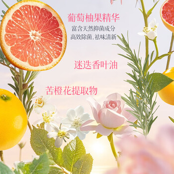 阿道夫.蒂姆森内衣裤洗衣液用开学季清洗液除菌除螨去污470g月光玫瑰洗衣服液