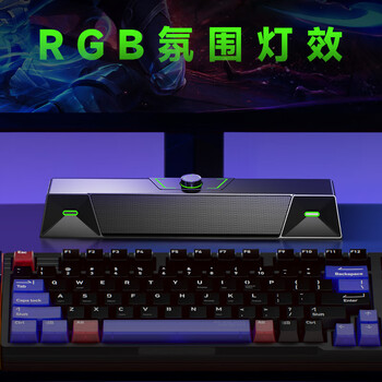 纽曼（Newmine）V1 电脑音响音箱有线式台式机笔记本带外置麦克风家用桌面游戏电竞黑色