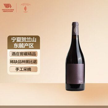 山是山水是水 高仲健一 /中古本! 山是山水是水 | 高仲健一
