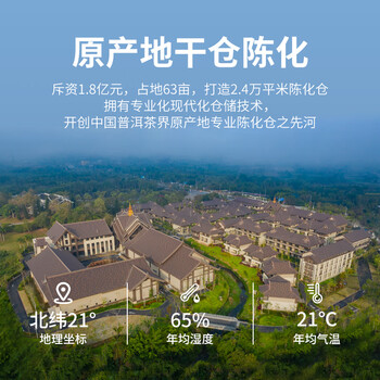 勐伦仓【冰岛七年陈】普洱茶生茶百年古树龙珠茶叶礼盒56g