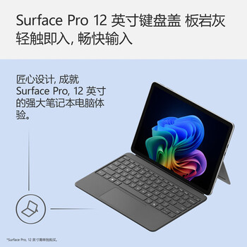 微软(Microsoft)Surface Pro 12英寸键盘盖 板岩灰(适配Surface Pro 12英寸单主机) 微软(Microsoft)Surface Pro 12英寸键盘盖 板岩灰(适配Surface Pro 12英寸单主机)