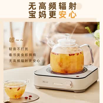 小熊ZMD安心系列电磁炉电陶炉 小型电磁灶 家用不挑锅具6档火力爆炒 围炉煮茶 DTL-D22R1+烤盘烤网