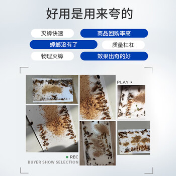 绿叶蟑螂粘板蟑螂药杀蛮蠊室内蟑螂粘纸20片除蟑螂屋2118A 绿叶蟑螂粘板蟑螂药杀蛮蠊室内蟑螂粘纸20片除蟑螂屋2118A