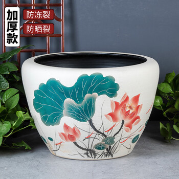 荷花缸金鱼排行- 京东