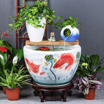 荷花大鱼缸品牌及商品- 京东