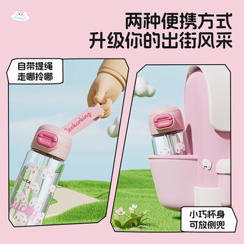炊大皇玻璃水杯女生高颜值大容量高硼硅耐热防爆耐高温530ml（粉兔子）
