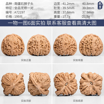 大粗筋狮子头 43尺 高端老树文玩核桃大粗筋霸王龙狮子头43尺寸精卡