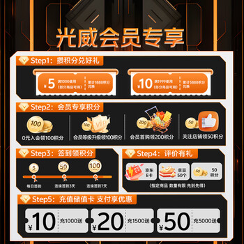 光威（Gloway）8GB DDR4 2666 笔记本内存条 战将 普条 精选颗粒 CL19