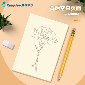 金蝶（kingdee）信纸成长礼稿纸信笺纸手写信学生用信签复古书信小学生仪式信纸以梦为马不负韶华 BCBQ127