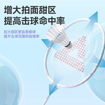 匹克羽毛球拍碳复合耐打成人学生套装训练比赛拍含羽毛球黑/白