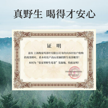 贡苑正宗张家界野生莓茶55g*2 张家界特级龙须芽尖永顺藤茶霉茶礼盒