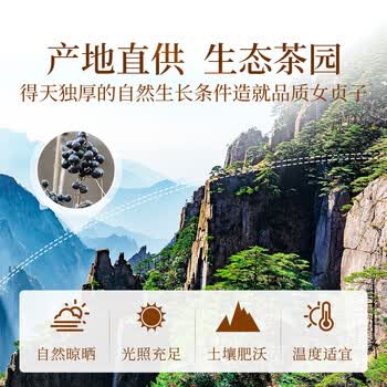 贡苑女贞子500g 女贞实冬青子中药材原料泡水泡茶