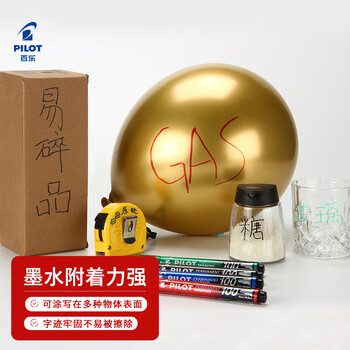 百乐（PILOT）油性马克笔记号笔圆头易干标记笔SCA-100-B-CHN 1mm黑色12支装