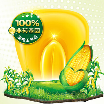 金龙鱼洗洁精生姜净味480G+金龙鱼纯正玉米油1.8L（非转基因）