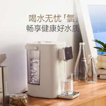 摩飞电器（Morphyrichards）电热水壶 电热水瓶烧水壶 家用3L台式恒温水壶直饮水机 婴儿调奶可拆卸内胆冲奶泡奶机MR6073