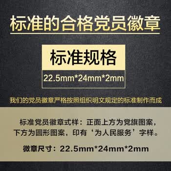 欧唛（oumai）标准党徽 锌合金镀金 双磁扣 磁吸佩戴 党建用品 2枚装 党员活动必备 党员徽章