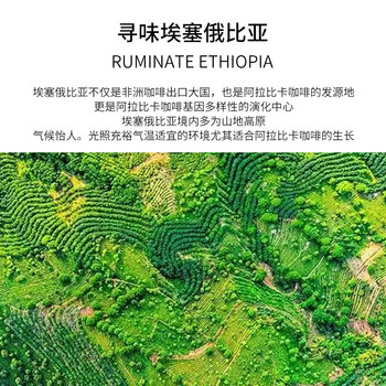 LUJIAZUI鹿家嘴埃塞花魁G1精品意式咖啡豆阿拉比卡手冲美式中深烘焙250g