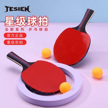 特斯恩（TESIEN） 乒乓球拍 星级球拍专业球拍乒乓球拍短柄236mm TSN-P01