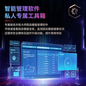 致态（ZhiTai）长江存储 1TB SSD固态硬盘 NVMe M.2接口 TiPlus7100系列 《黑神话:悟空》官方合作品牌