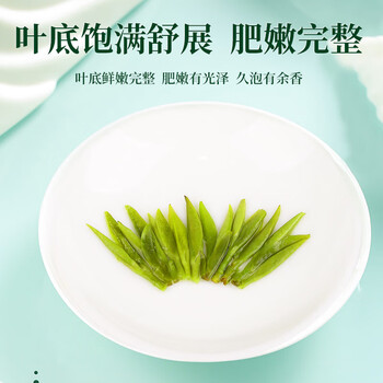 一杯香茶叶绿茶正宗明前早春龙井茶250g2025新茶礼盒装送礼自己喝自饮 一杯香茶叶绿茶正宗明前早春龙井茶250g2025新茶礼盒装送礼自己喝自饮