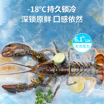 志高（CHIGO）单温冷柜 272升家用商用小型冰柜 微霜一级能效冷藏冷冻转换卧式冷冻柜   BD/BC-272DW