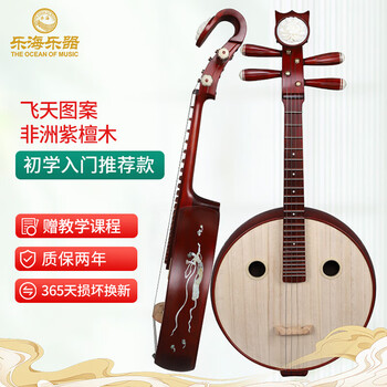 乐海中阮价格报价行情- 京东