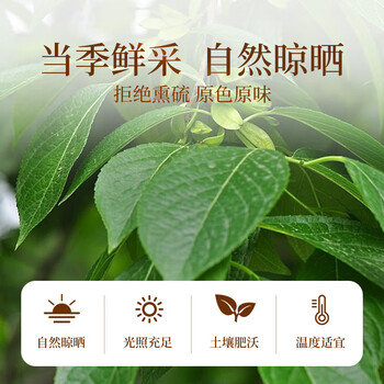 贡苑杜仲叶250g 杜仲茶嫩叶实惠装 可搭中药材泡水泡酒男人男性养生茶