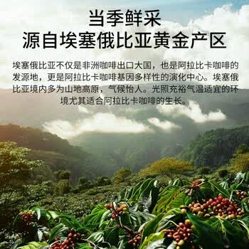 LUJIAZUI鹿家嘴埃塞西达摩精品意式浓缩咖啡豆美式中深烘焙醇厚丝滑454g
