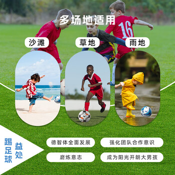 美津浓(MIZUNO)足球儿童4号初学小学生体育课专用球中考世界杯专业比赛训练B01蓝 美津浓(MIZUNO)足球儿童4号初学小学生体育课专用球中考世界杯专业比赛训练B01蓝