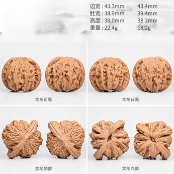 大粗筋狮子头 43尺 白狮子三棱大奔精品43狮子头异形三四棱全品老