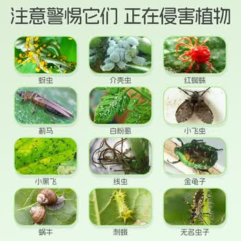 KOOGIS呋虫胺花卉草绿植物专用杀虫剂喷雾红蜘蛛除蚜虫家用防基孔肯雅热