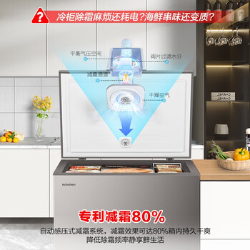 容声（Ronshen）200升减霜冰柜家用囤货顶开门冷柜母婴母乳存放小冰箱BD/BC-200ZMSA 
