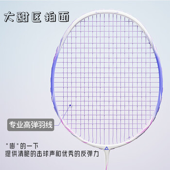 匹克羽毛球拍专业级全碳素超轻耐打双拍碳纤维球拍训练比赛对拍机械姬 匹克羽毛球拍专业级全碳素超轻耐打双拍碳纤维球拍训练比赛对拍机械姬