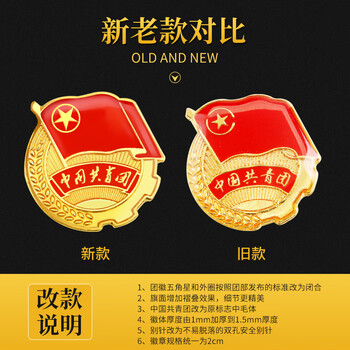 格立特（gelite）2025最新版标准款1.5mm加厚正版2cm中国共青团团徽磁吸团员徽章别针款双面强磁大磁铁扣学生用胸章