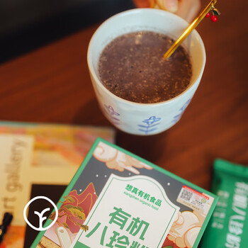想真远方好物古方有机八珍粉240g儿童成年人早餐代餐粉0添加0防腐8条