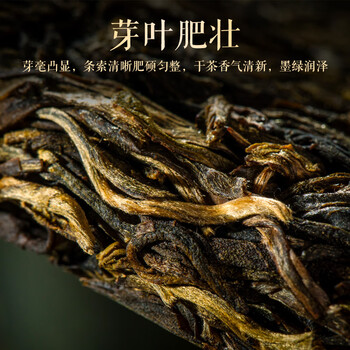 七彩雲南普洱茶 雀之韵 3年陈化普洱生茶七子饼357g 茶叶礼盒装