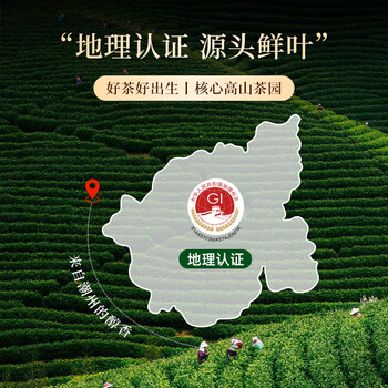 尖造茶叶潮州凤凰单枞鸭屎香2026新茶特级单丛乌龙茶送礼品长辈500g