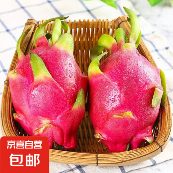 お歳暮・冬ギフト特集 - おとなの週末お取り寄せ倶楽部 红色火龙蕉价格报价行情- 京东 エケベリア・セダム