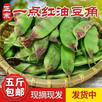 AkaFarm油豆角图片- 京东
