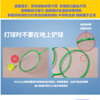安格耐特得力FH100铁分体羽毛球拍-2支/副 羽毛球拍