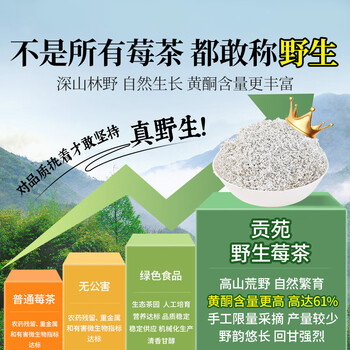 贡苑正宗张家界野生莓茶55g*2 张家界特级龙须芽尖永顺藤茶霉茶礼盒