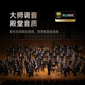 科大讯飞AI会议降噪无线蓝牙耳机Pro 3 黑金【尊享版】录音翻译智能入耳式 适配苹果华为小米