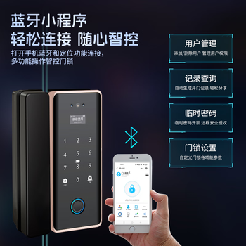 真地 Realand  人脸识别门禁锁玻璃门单门双开门指纹锁办公室涂鸦app远程开锁密码锁钥匙应急开锁 Q6