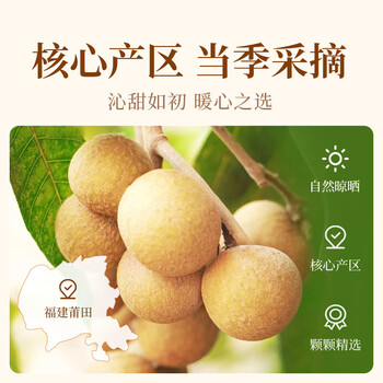 贡苑 桂圆肉 无核免剥自然干晒 高州特产龙眼肉500g 泡茶煲汤 贡苑 桂圆肉 无核免剥自然干晒 高州特产龙眼肉500g 泡茶煲汤