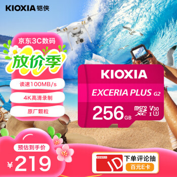铠侠（Kioxia）256GB TF(microSD)存储卡 G2 PLUS系列 U3 A1 V30 行车记录仪&安防监控手机内存卡