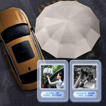 费林斯曼全自动雨伞男士超大号加固加厚抗风遮太阳伞晴雨两用便携防晒伞女